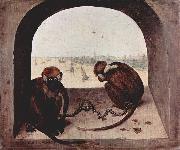 Pieter Bruegel the Elder Zwei Affen oil on canvas